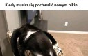 W wielu stanach bycie publicznie topless nie jest karane
