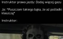 +40 punktów