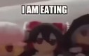 Fumo