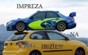 Impreza na Ibizie