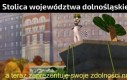 Nie, nie mogłem po prostu napisać 