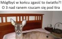 Niektórzy z nas PRACUJĄ