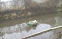 Czy to bardzo rzadki Pepe?