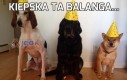 Kiepska ta balanga...