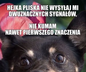 Lubię prosty przekaz