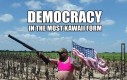 Demokracja kawaii