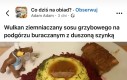 Szał dla podniebienia