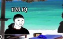 Schizoposting czas