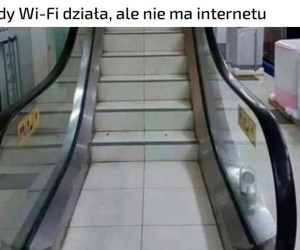 Jest, a nie ma