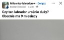 Dziwny jakiś