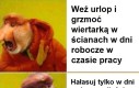 Trzy profity za jednym zamachem!