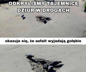 Tak podejrzewałem