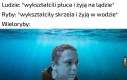Idą swoją drogą