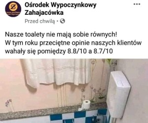 Są niezrównani w tym co robią