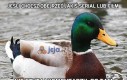 Jeśli chcesz obejrzeć jakiś serial lub film