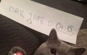 Taka jego rola
