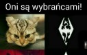 Wybrańcy