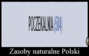 Martwe plody yum