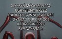 Przez które zwierzę chciałbyś zostać ugryzionym?
