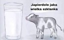 Robi wrażenie