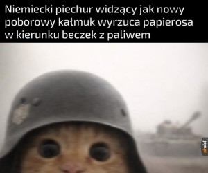 Anony... to się nie dzieje
