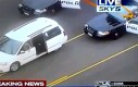 Policyjny pies wyciąga przestępcę z auta