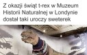 Słodko, ciekawe komu go ukradli