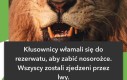 Natura tak chciała