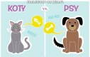 Koty vs. Psy