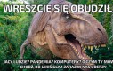 Musiał się nieźle uderzyć