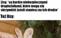 0 myśli, 0 inteligencji, 7 zjedzonych kubełków