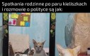 Przedryndolone
