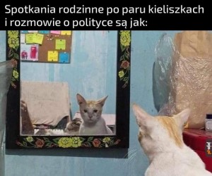 Przedryndolone