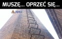 Po spędzeniu całego dnia przy Assassin's Creed...