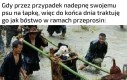 Może mi wybaczy