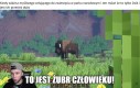 A tamten dzik? To jest rowerzysta!