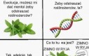 Fajnie szczypie