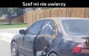 Mieszkanie w MCU to koszmar