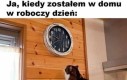 Są tu ludzie pracy?