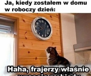 Są tu ludzie pracy?