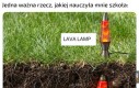 To się faktycznie może przydać