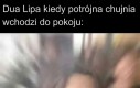 Zawsze jest większa ryba