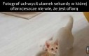 On jeszcze nie wie