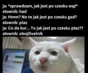 Logiczne