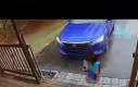 Steve prankster