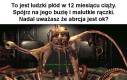Takie są fakty