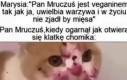 Jednak nie