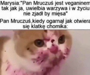 Jednak nie