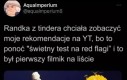 To chyba green flag