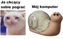Nie dzisiaj